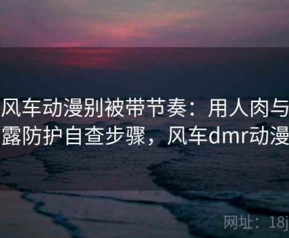 读风车动漫别被带节奏：用人肉与泄露防护自查步骤，风车dmr动漫