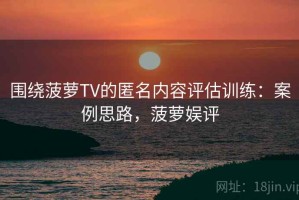 围绕菠萝TV的匿名内容评估训练：案例思路，菠萝娱评