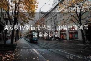 读菠萝TV别被带节奏：用信息澄清写法自查步骤