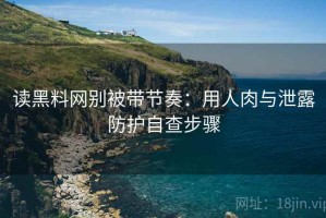 读黑料网别被带节奏：用人肉与泄露防护自查步骤