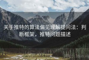 关于推特的算法偏见理解提问法：判断框架，推特问题描述