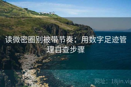 读微密圈别被带节奏：用数字足迹管理自查步骤