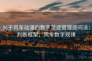 关于风车动漫的数字足迹管理提问法：判断框架，风车数字规律