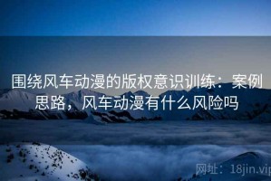 围绕风车动漫的版权意识训练：案例思路，风车动漫有什么风险吗
