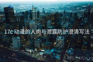 17c 动漫的人肉与泄露防护澄清写法