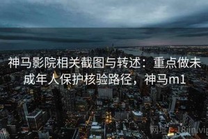 神马影院相关截图与转述：重点做未成年人保护核验路径，神马m1