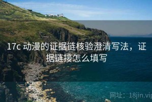 17c 动漫的证据链核验澄清写法，证据链接怎么填写
