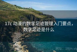 17c 动漫的数字足迹管理入门要点，数字足迹是什么