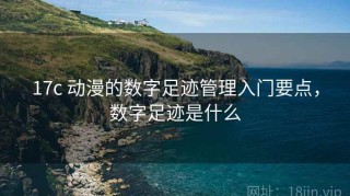 17c 动漫的数字足迹管理入门要点，数字足迹是什么
