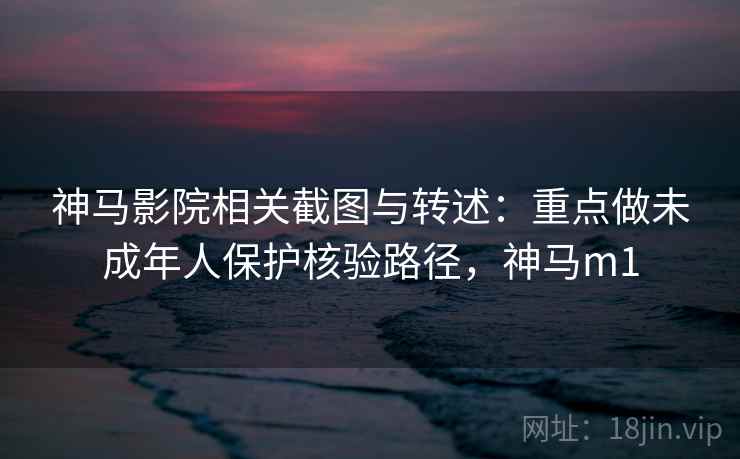 神马影院相关截图与转述：重点做未成年人保护核验路径，神马m1