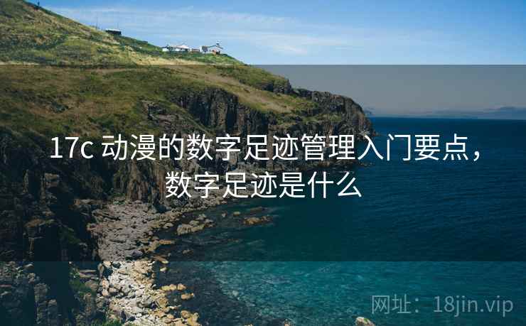 17c 动漫的数字足迹管理入门要点，数字足迹是什么
