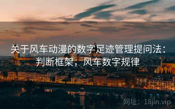 关于风车动漫的数字足迹管理提问法：判断框架，风车数字规律